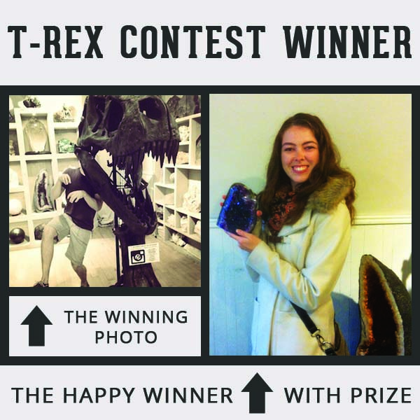 Geologic Gallery t-rex contest winner