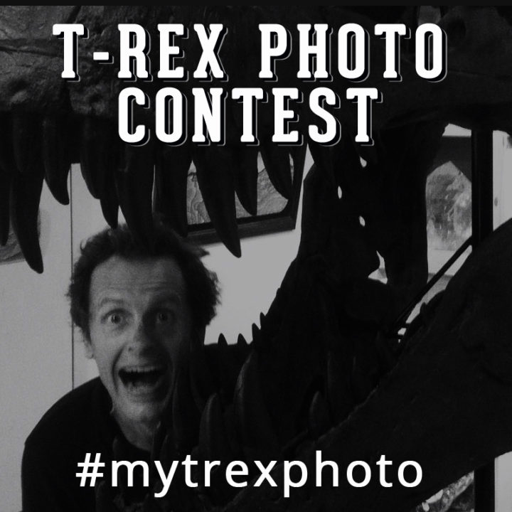 Geologic Gallery Instagram trex contest