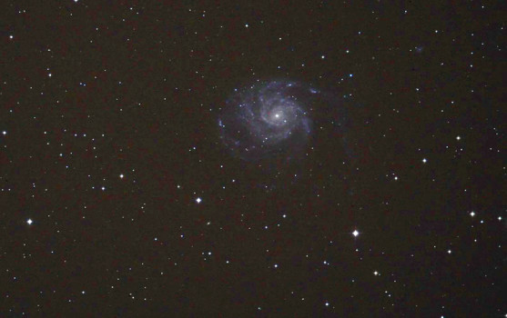 Spiral Galaxy M101