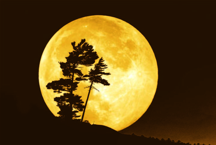 The Full Moon