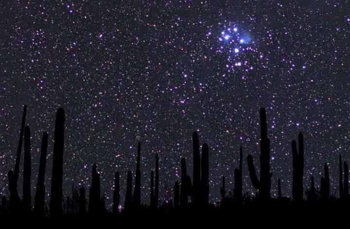 The Pleiades Rising