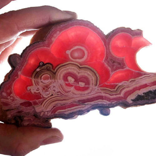 Rhodochrosite Stalactite Slice 4