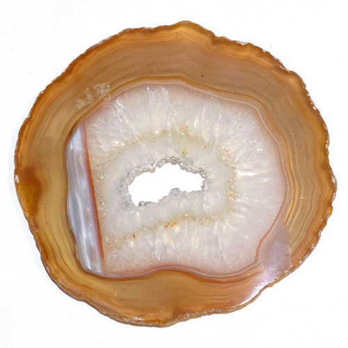 Geologic Gallery Agate Slice