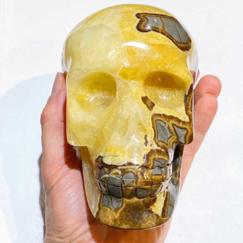 Septarian: Calcite and Aragonite Skull