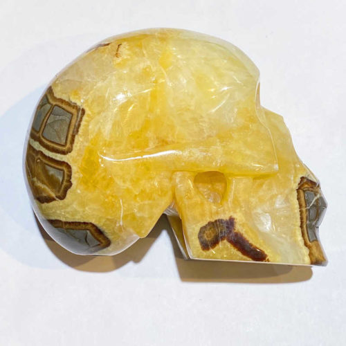 Septarian: Calcite and Aragonite Skull - Image 4
