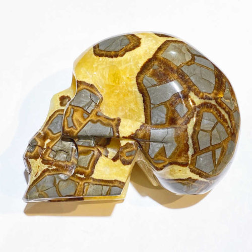 Septarian: Calcite and Aragonite Skull - Image 5
