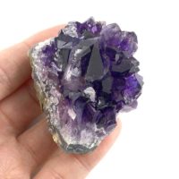 Amethyst (Uruguayan) Cluster